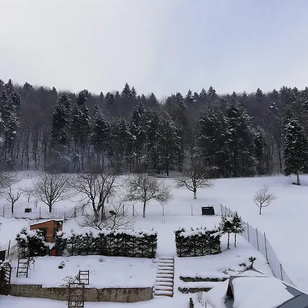 Domino Rum i privatbostad